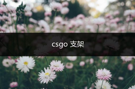 csgo 支架