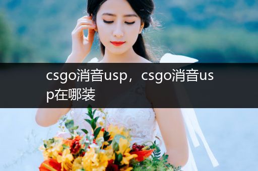 csgo消音usp，csgo消音usp在哪装