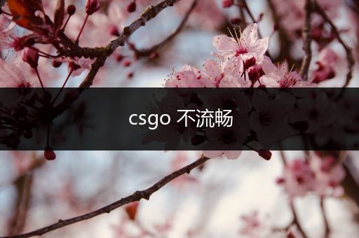 csgo 不流畅