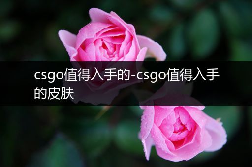 csgo值得入手的-csgo值得入手的皮肤