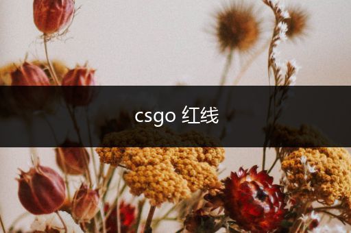 csgo 红线