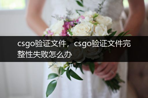 csgo验证文件，csgo验证文件完整性失败怎么办