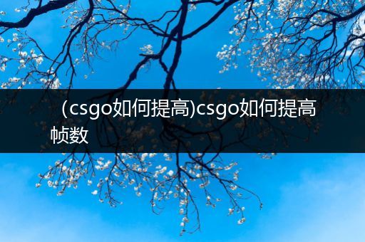 （csgo如何提高)csgo如何提高帧数