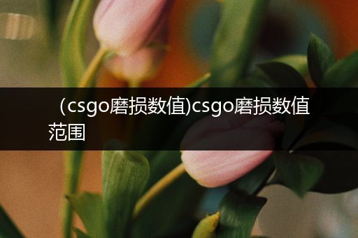 （csgo磨损数值)csgo磨损数值范围