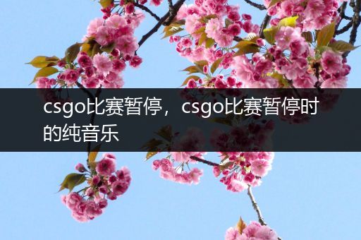 csgo比赛暂停，csgo比赛暂停时的纯音乐