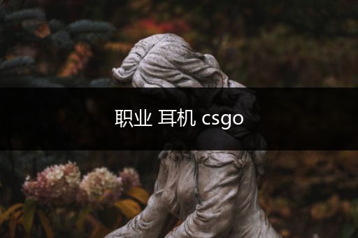 职业 耳机 csgo