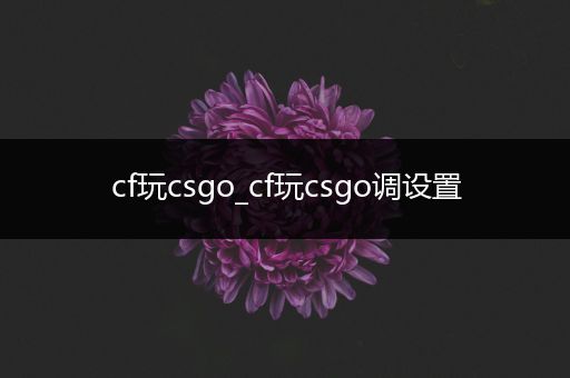 cf玩csgo_cf玩csgo调设置