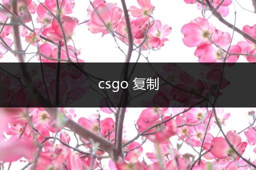 csgo 复制