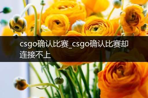 csgo确认比赛_csgo确认比赛却连接不上