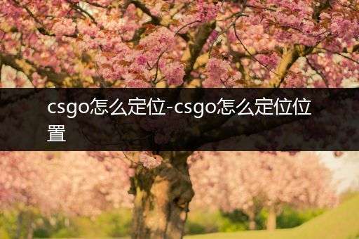 csgo怎么定位-csgo怎么定位位置