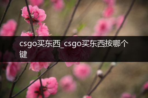 csgo买东西_csgo买东西按哪个键