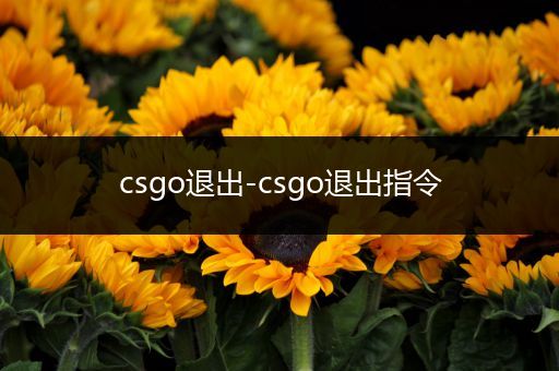 csgo退出-csgo退出指令