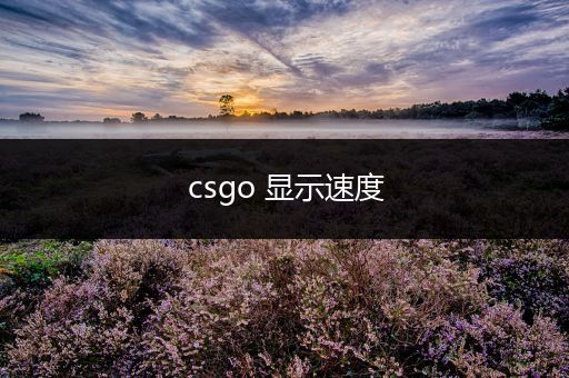 csgo 显示速度