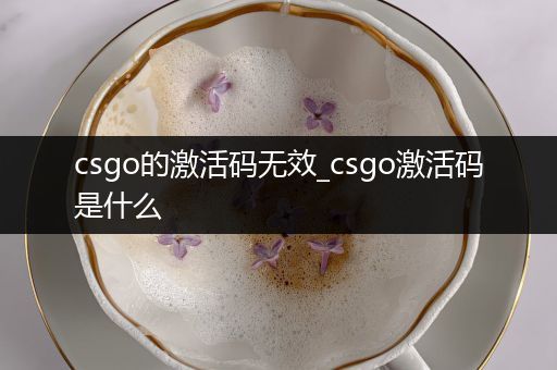 csgo的激活码无效_csgo激活码是什么