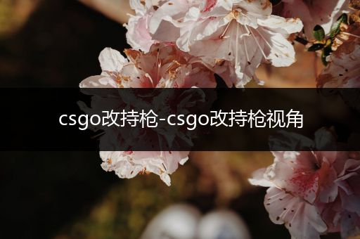 csgo改持枪-csgo改持枪视角