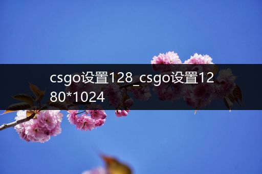 csgo设置128_csgo设置1280*1024