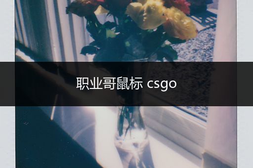 职业哥鼠标 csgo