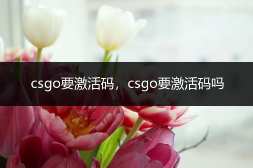 csgo要激活码，csgo要激活码吗