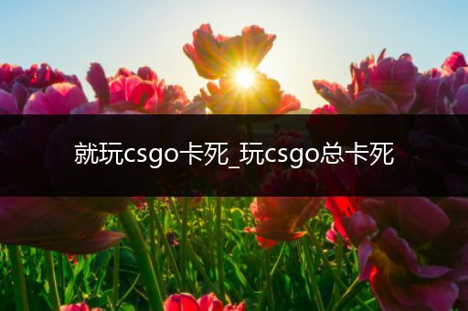 就玩csgo卡死_玩csgo总卡死