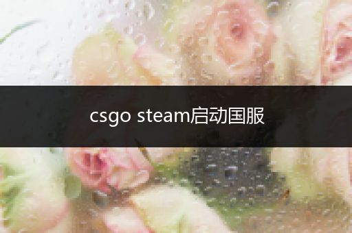 csgo steam启动国服