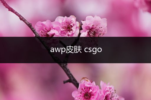 awp皮肤 csgo