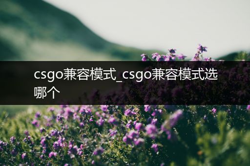 csgo兼容模式_csgo兼容模式选哪个