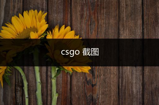 csgo 截图