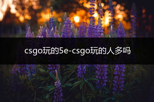 csgo玩的5e-csgo玩的人多吗