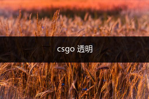 csgo 透明