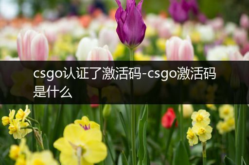 csgo认证了激活码-csgo激活码是什么