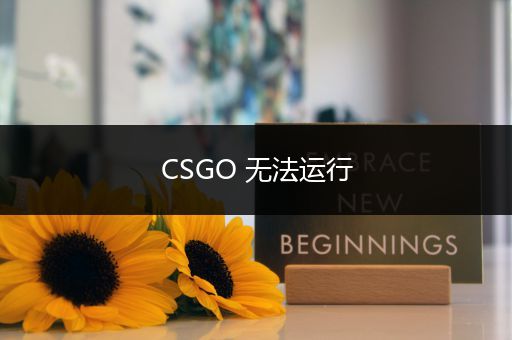 CSGO 无法运行