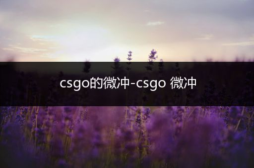 csgo的微冲-csgo 微冲