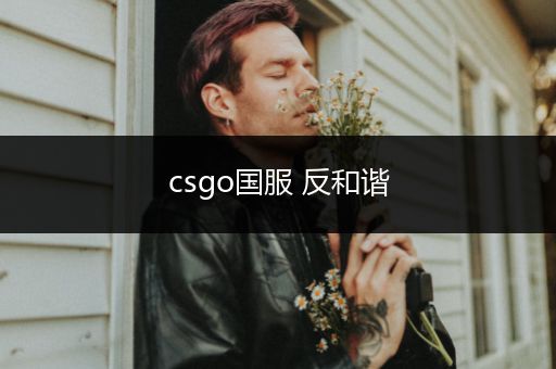 csgo国服 反和谐