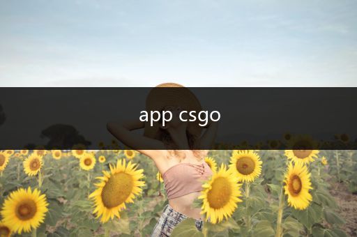 app csgo