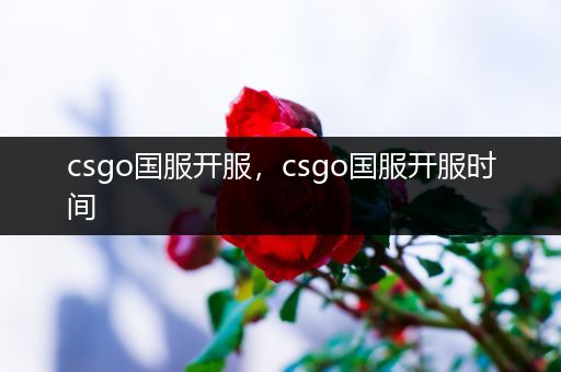 csgo国服开服，csgo国服开服时间