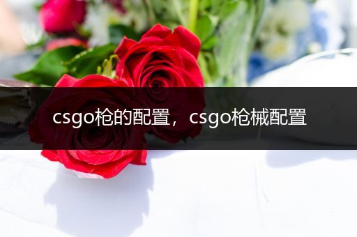 csgo枪的配置，csgo枪械配置