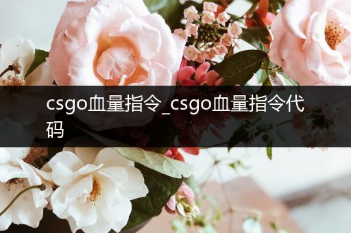 csgo血量指令_csgo血量指令代码