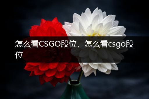 怎么看CSGO段位，怎么看csgo段位