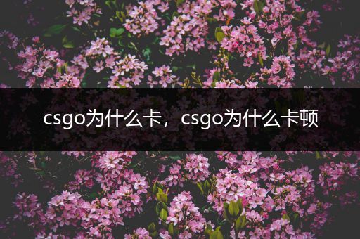 csgo为什么卡，csgo为什么卡顿