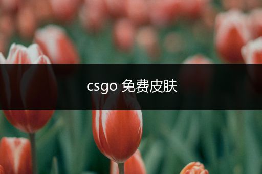 csgo 免费皮肤