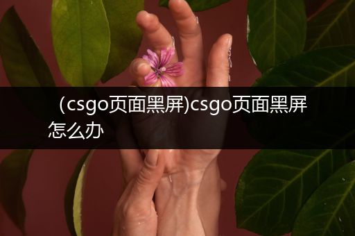 （csgo页面黑屏)csgo页面黑屏怎么办