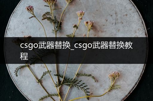 csgo武器替换_csgo武器替换教程