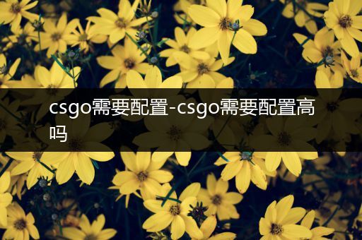 csgo需要配置-csgo需要配置高吗