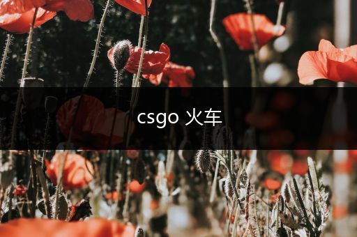 csgo 火车