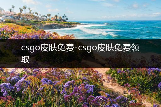 csgo皮肤免费-csgo皮肤免费领取