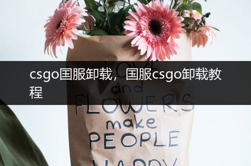 csgo国服卸载，国服csgo卸载教程