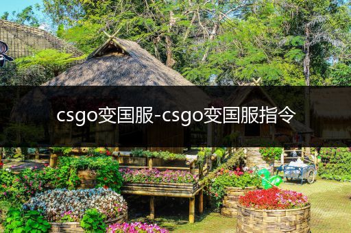 csgo变国服-csgo变国服指令