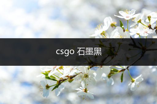 csgo 石墨黑