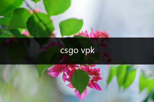 csgo vpk