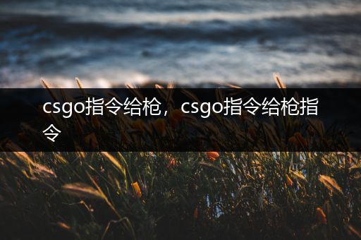 csgo指令给枪，csgo指令给枪指令